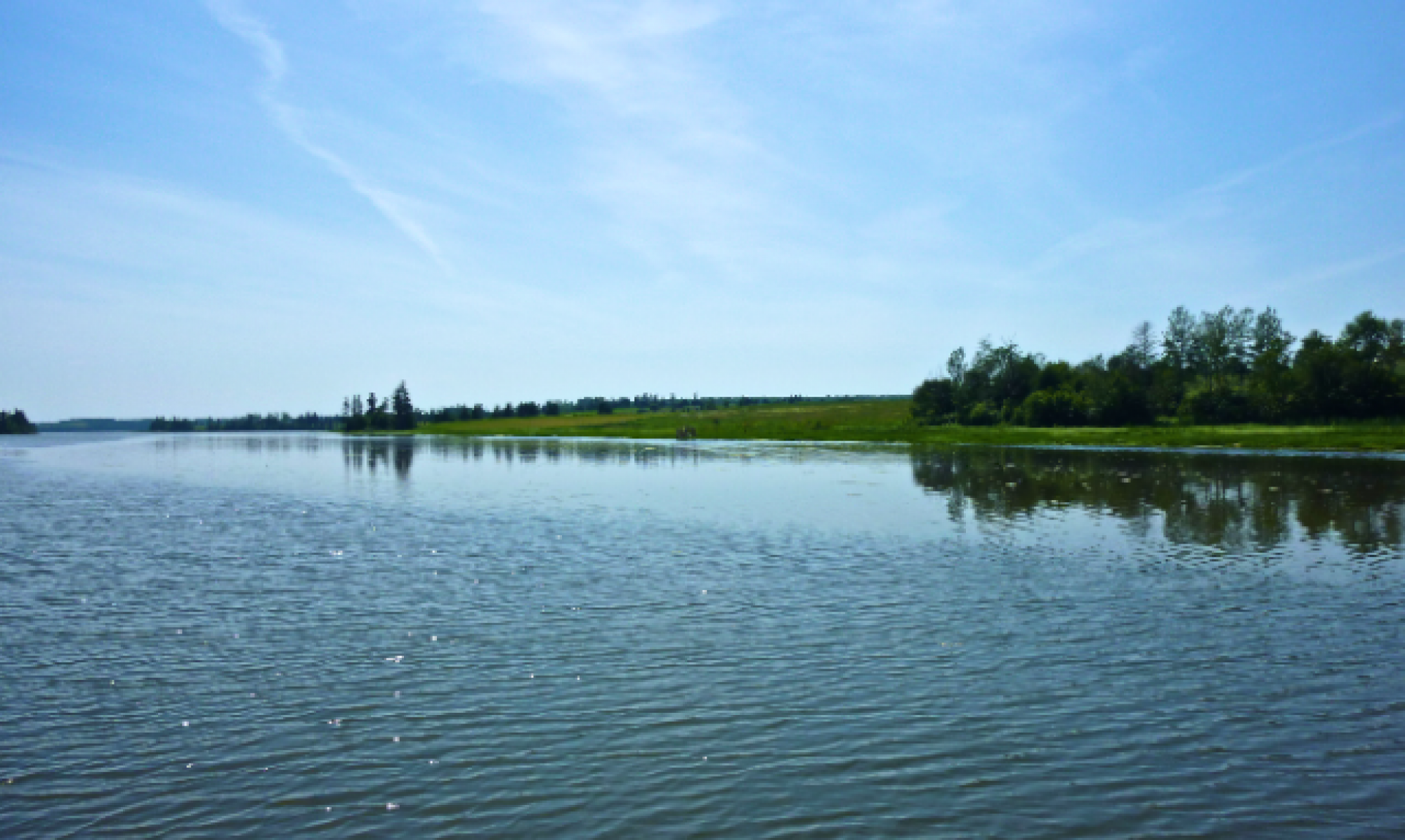 2020 Field Season Central Queens Branch of the PEI Wildlife Federation