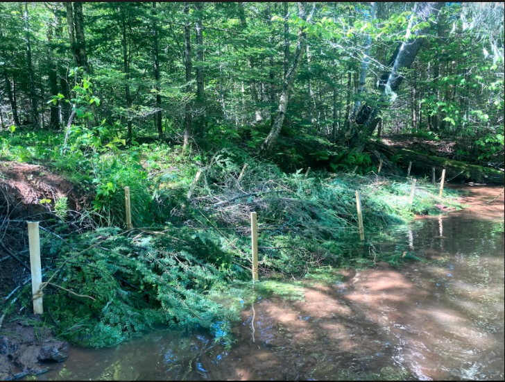 2020 Field Season Central Queens Branch of the PEI Wildlife Federation